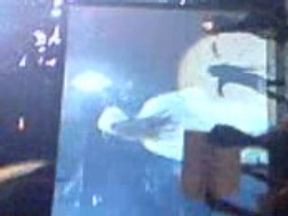 Tchao Tom & Georg Paris Bercy 10 Mars 2007