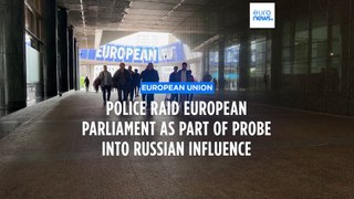 Russian influence probe: Police search offices and home of Dutch MEP's aide