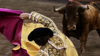 Las opiniones encontradas por el proyecto de ley que prohíbe las corridas de toros