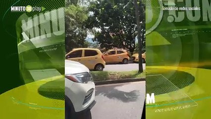 Paro de taxistas Larga fila de carros por San Diego