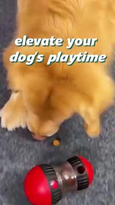 Interactive Dog Feeding Toy