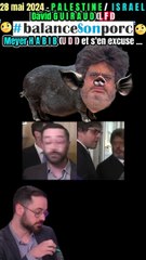 #Palestine#Israël#LFI#DavidGuiraud#Cochon#MeyerHabib#28mai2024
