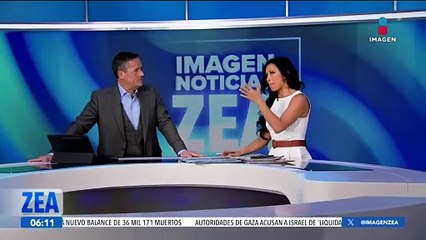 Aerolínea permite que perros viajen junto a sus dueños