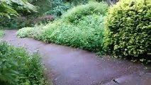 Bebra Gardens: I visited a secret garden in Knaresborough and felt like I stepped into 1993 film The Secret Garden
