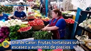 Ola de Calor: Frutas hortalizas sufren escasez y aumento de precios