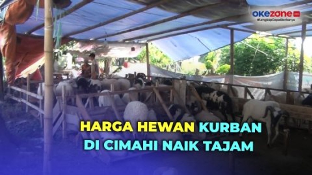 Jelang Iduladha Harga Hewan Kurban Di Cimahi Naik Tajam Video Dailymotion