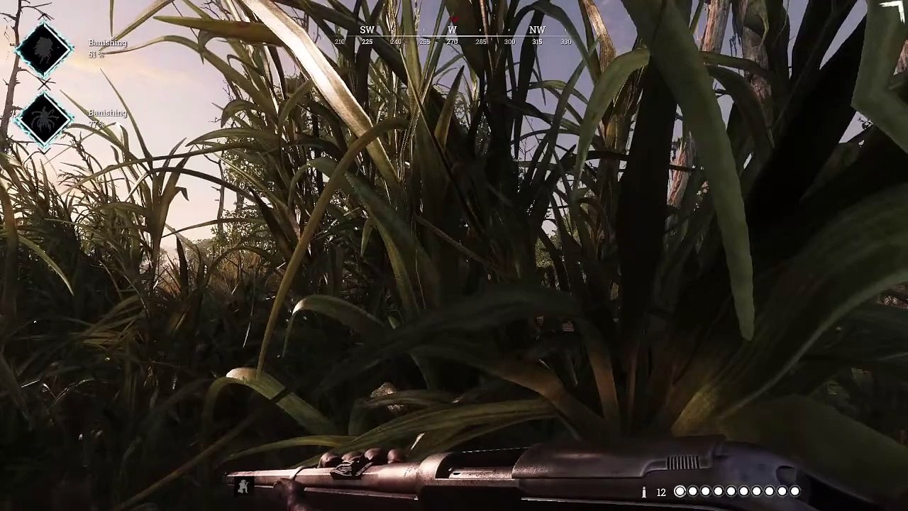 Livestream 123-Hunt: Showdown