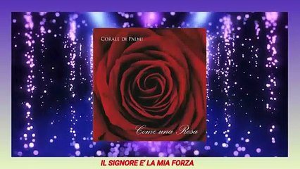 Corale di Palmi - Che grande amor!