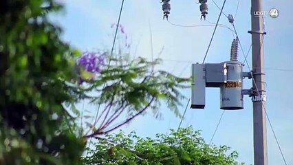 Empresas de alimentos y tecnología pierden hasta 20 MDP en Jalisco debido a los apagones