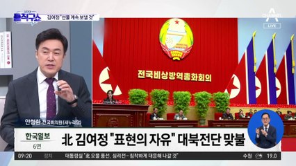 김여정 “풍선, 표현의 자유”…‘대북 전단 논리’ 비꼬아