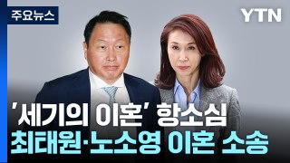 최태원·노소영 이혼소송 항소심 오늘 선고...민희진 가처분 결과도 주목 / YTN