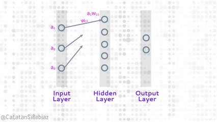 Weight and Bias Artificial Neural Network