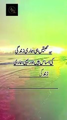 Aqwale zareen Urdu quotes in Urdu