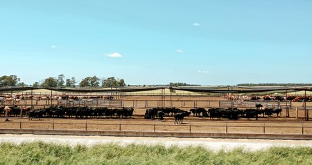 Wamba  Aggregation | May 30, 2024 | Farmonline