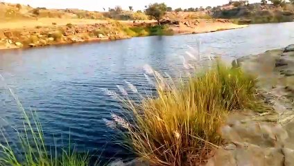 Beautiful and Mini Dam in Village | Relaxation with original birds sound