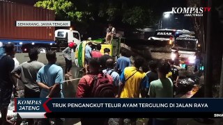 Truk Pengangkut Telur Ayam Terguling di Jalan Raya