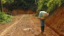 Episodio 3 | Zona de fuego: en las entrañas del Cauca
