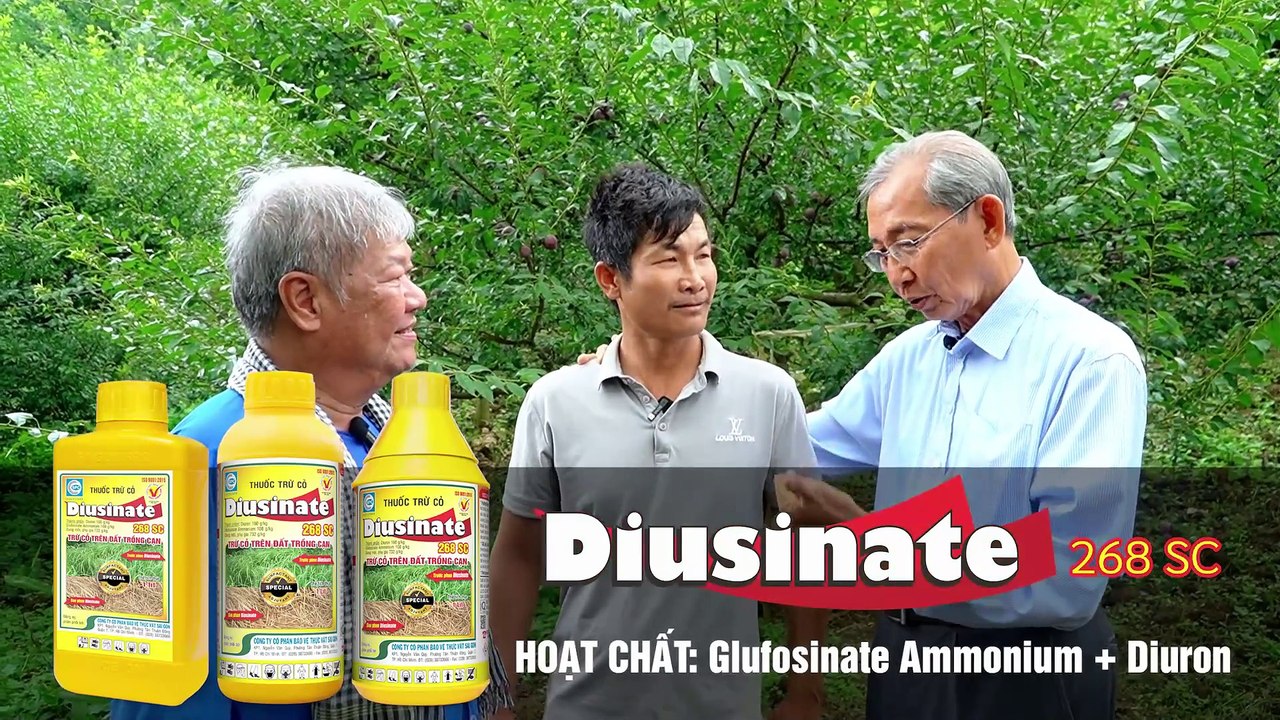 Phim ngắn Ông Sáu Diusinate trừ cỏ vườn cây ăn trái vùng cao Tây Bắc