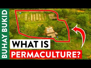 Permaculture: This Natural Farm's "15-30" Prototype Garden Can Save You Money on Food Costs | OG