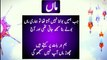 Maa baap quotes in Urdu | maa baap islamic quotes  |urdu islamic quotes | best urdu quotes