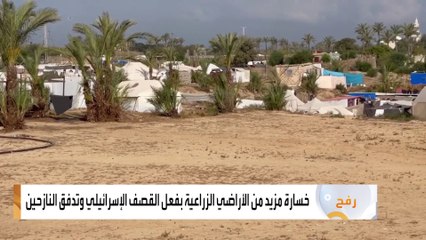 تضرر مساحات شاسعة من الأراضي الزراعية في غزة ورفح بسبب القصف الإسرائيلي