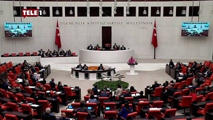 Meclis’te sokak hayvanları tartışması! ‘Sizde ne din kalmış ne iman’ sözleri AKP’lileri ayağa kaldırdı