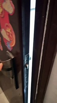 My dog has adapted my habits