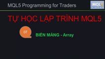 BÀI 07 - MQL5 - BIẾN MẢNG - ARRAY - TỰ HỌC LẬP TRÌNH MQL5 SIÊU TỐC