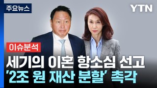 [뉴스퀘어 2PM] 최태원·노소영 2조대 이혼 소송 2심 선고 / YTN