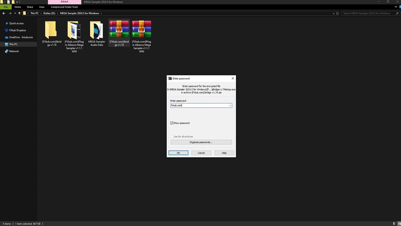 MEGA Sampler 2024.5 for Windows