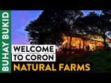 Farm Tour: Learn Aquaponics, Permaculture & More Techniques in Sustainable Agriculture | OG