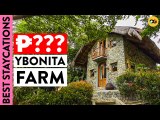 This Farmhouse with 4 Villas Might Be the Most Beautiful Rental in Batangas | Amazing Staycations