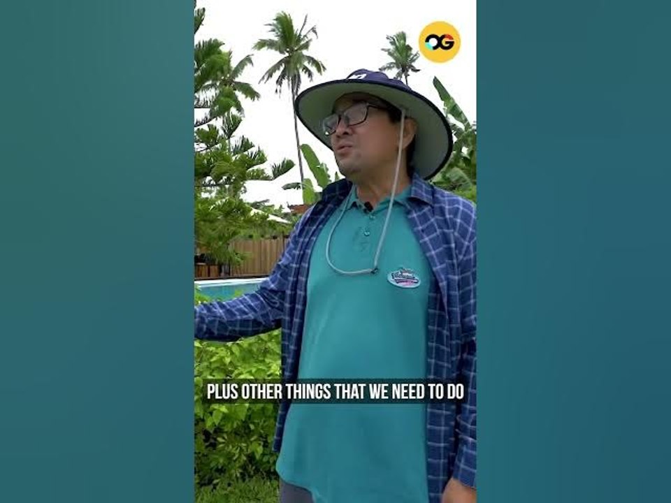 This Customized Bamboo Farm House is Perfect for a Weekend Getaway #shorts