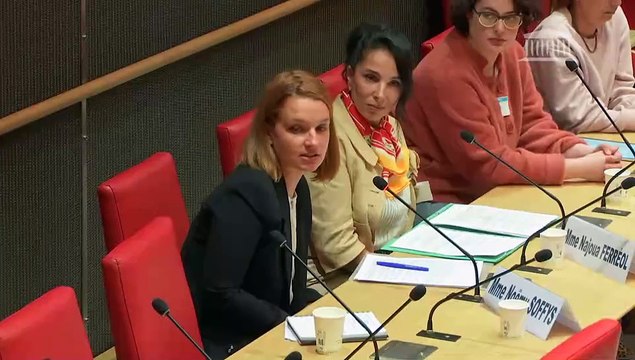 Violences commises dans les secteurs artistiques et médiatiques : Table ronde réunissant des coordinatrices d’intimité ; Table ronde réunissant des directeurs de casting - Jeudi 30 mai 2024