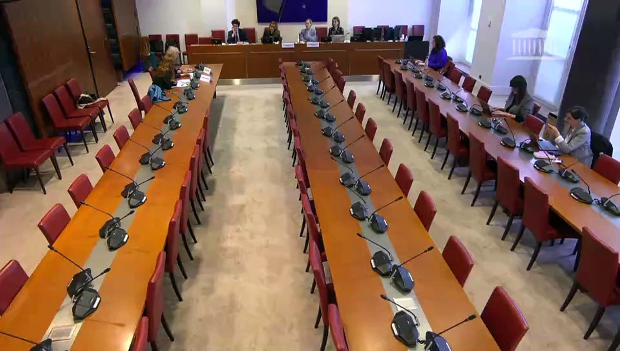 Manquements des politiques de protection de l’enfance : Auditions diverses - Jeudi 30 mai 2024