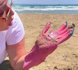 Sea secrets revealed! Surprising beach finds we didn't expect to get!