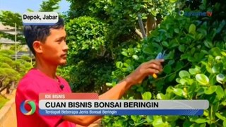 Berawal Hobi Rawat Bonsai Beringin, Raup Cuan Puluhan Juta per Bulan