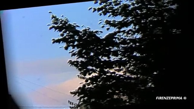 #4 Animali di città - Leonardo Pieraccioni - Animali di Città 1989