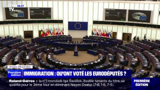 Qu'ont voté les eurodéputés sur l'immigration?