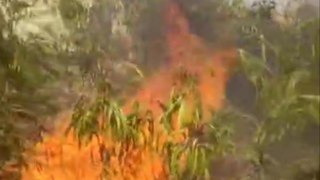 बहरोड़: भयंकर गर्मी का तांडव; 33 केवी जीएसएस में लगी आग, देखें वीडियो