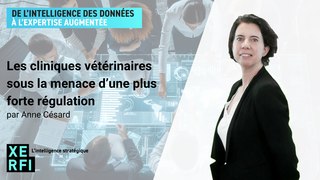 Les cliniques vétérinaires sous la menace d’une plus forte régulation [Anne Césard]