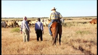 China lifts ban on five major Australian beef exporters