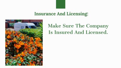 Grass Cutting Services