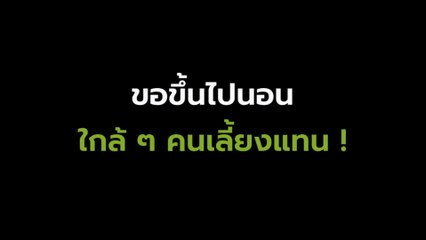 เจ้าหมาขี้อ้อน แอบสลับหมอนข้าง ตอนเจ้านายหลับ แหม ! ก็อยากนอนด้วย