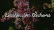 Encarnacion Bechaves Advertisement (Recreation/Lost Media)