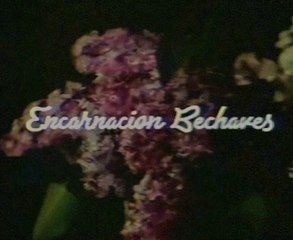 Encarnacion Bechaves Advertisement (Recreation/Lost Media)