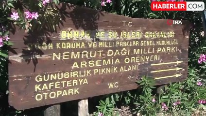 Arsemia Antik Kenti'nde kazı çalışması başladı