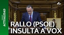 Rallo (PSOE) llama neofascistas y filonazis a Vox