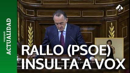 Rallo (PSOE) llama neofascistas y filonazis a Vox