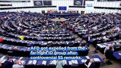 AfD fears voters losing patience over latest Russia and China spy scandals